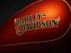 Harley-Davidson Harley Davidson Softail Low Rider ST El Diablo